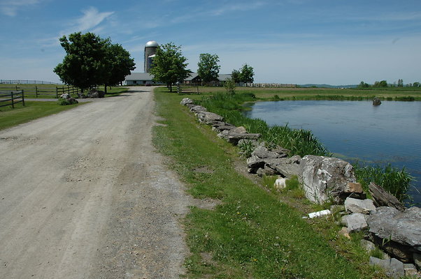 DSC 0018