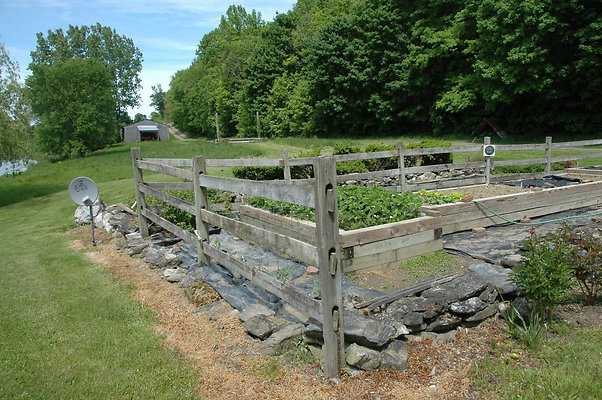DSC 0052