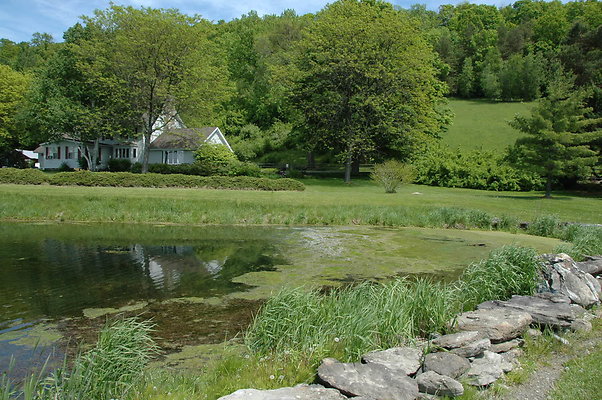 DSC 0016