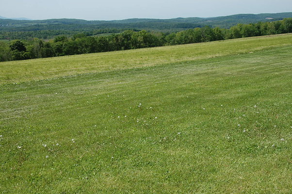 DSC 0105