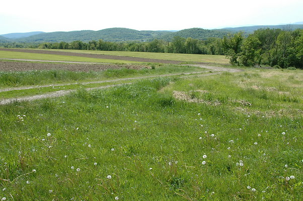 DSC 0131