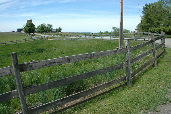 DSC 0039