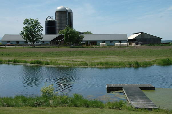DSC 0046