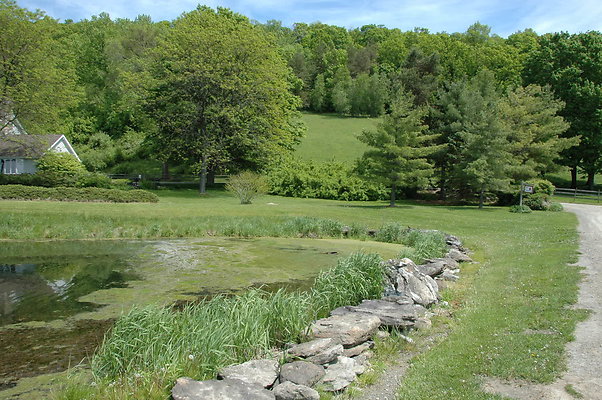 DSC 0015