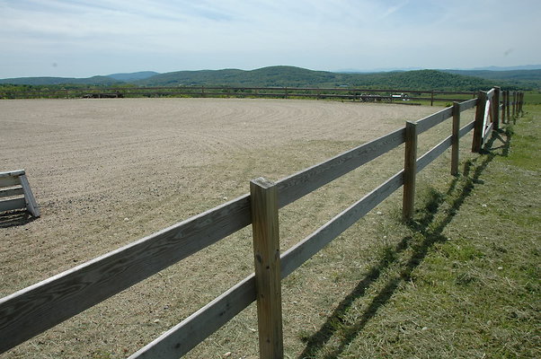 DSC 0099