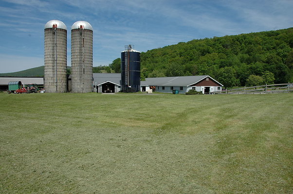 DSC 0106