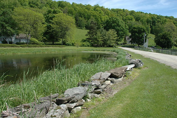DSC 0008