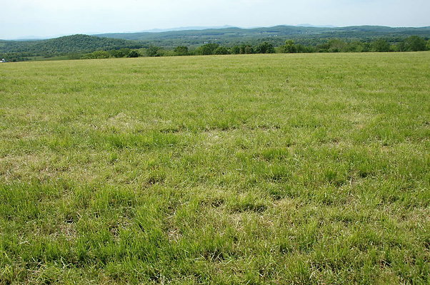 DSC 0127