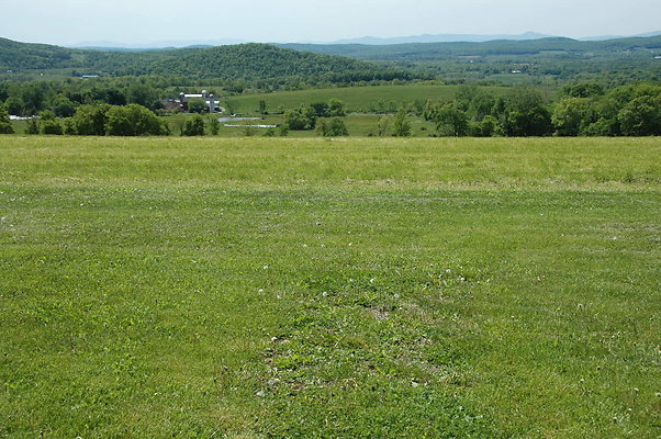 DSC 0104