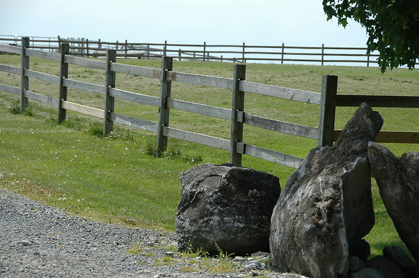 DSC 0012