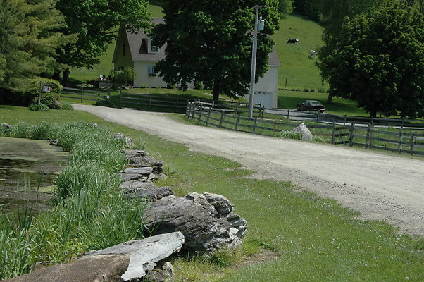 DSC 0010