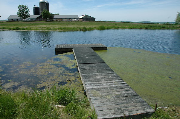 DSC 0048