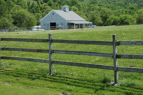 DSC 0002