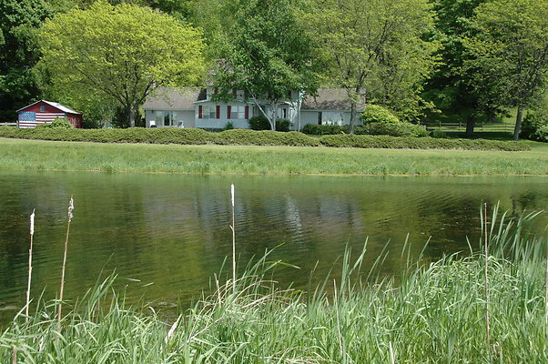 DSC 0009