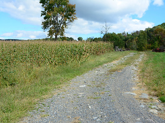 DSC 4982