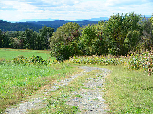DSC 4987