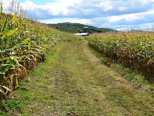 DSC 4969