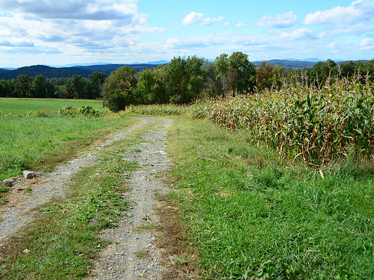 DSC 4986