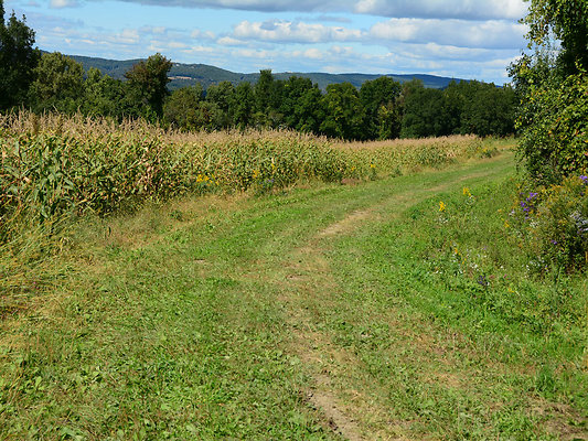 DSC 4958