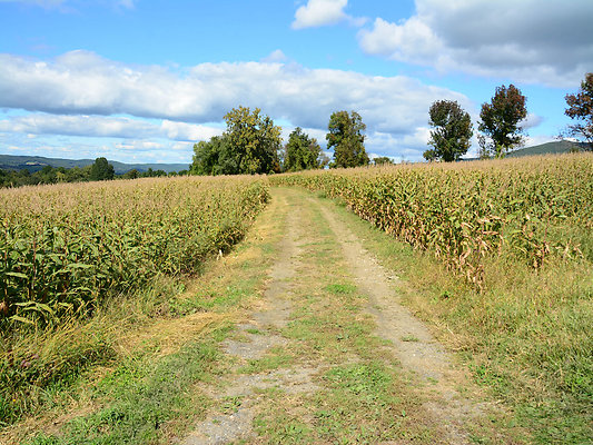 DSC 4933