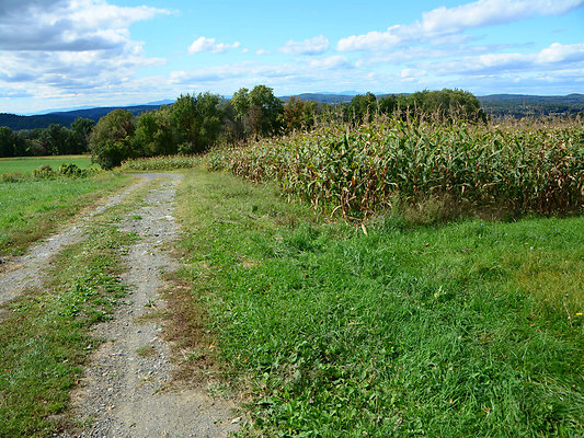 DSC 4989