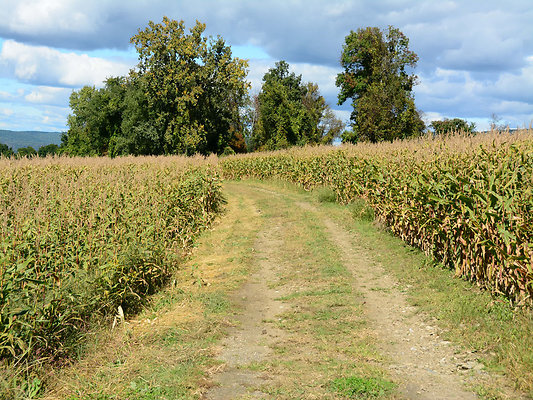 DSC 4934