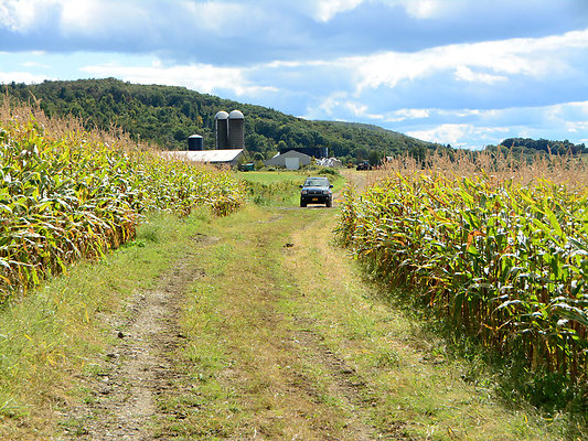 DSC 4974