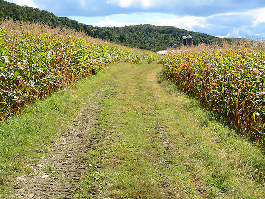 DSC 4964