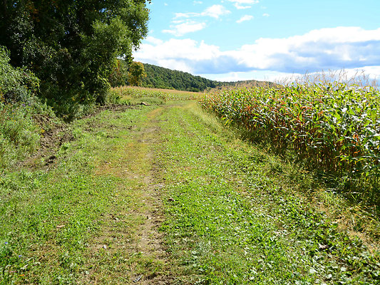 DSC 4960
