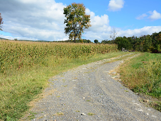 DSC 4936
