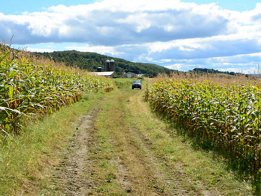 FILE Beckanrah Farm