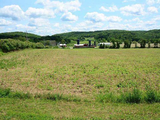 DSC 7867