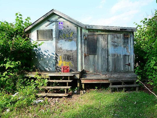 DSC 8205