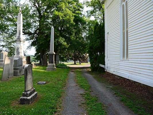 DSC 8182