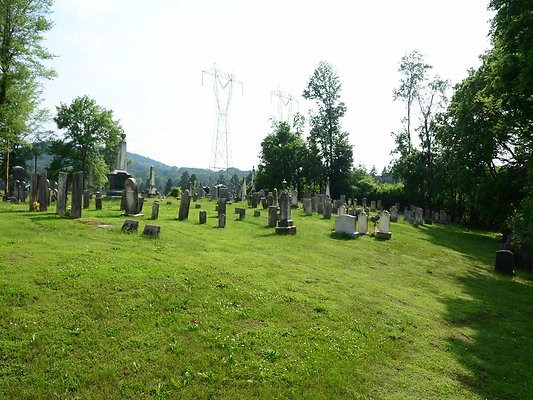 DSC 8178