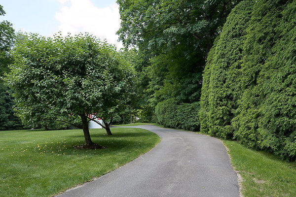 LD 5144 Ext 81 LD 5144 Ext 81